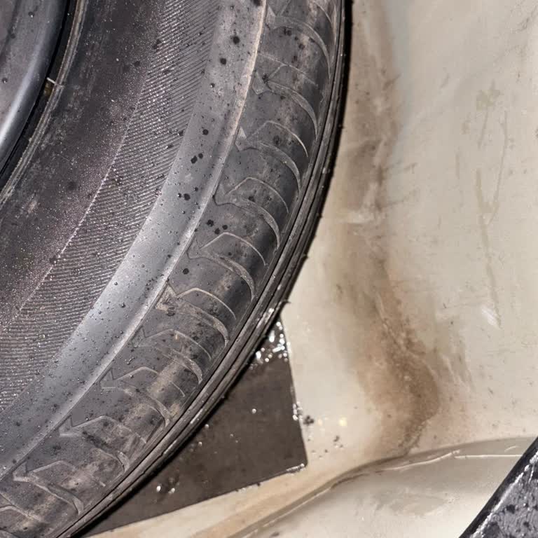 Stepne Havuzunda Su Birikmesi Ve Rutubet Sorunu