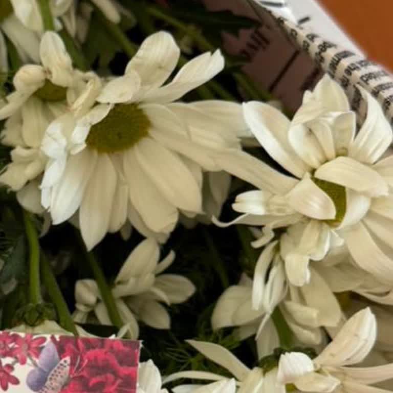 Çiçek Sepeti'nden Solmuş Çiçek Teslimatı Ve Ücret İadesi Talebi