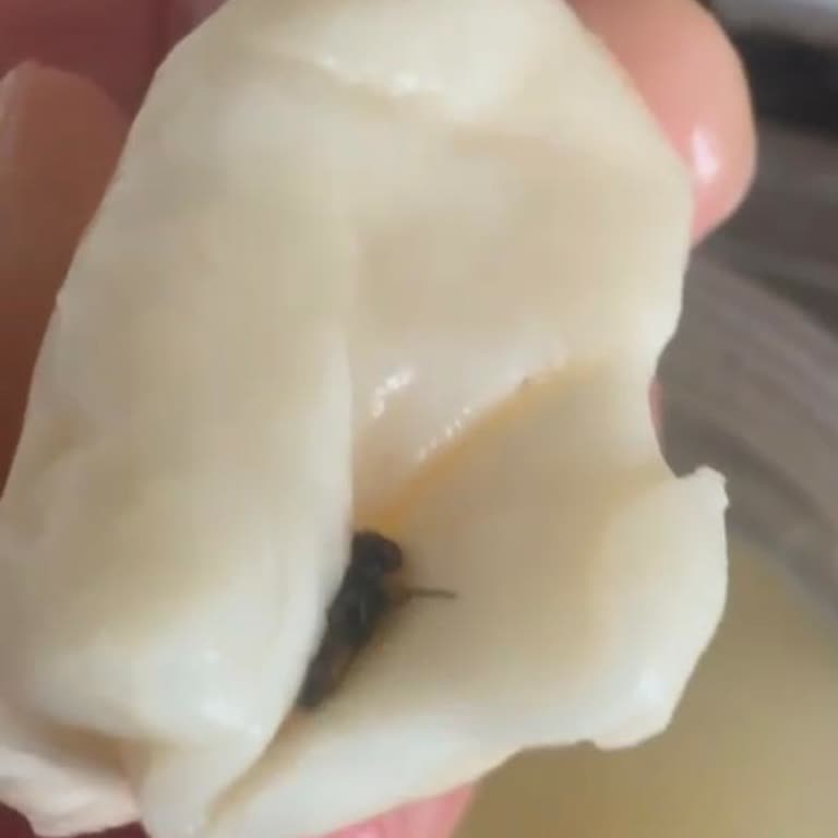 Pendirhan Yöresel Ürünler Mağduriyetimin Eksiksiz Olarak Giderilmesini İstiyorum.