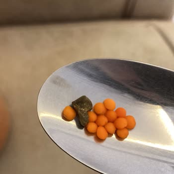 Kırmızı Mercimekte Taş Benzeri Yabancı Madde Bulunması