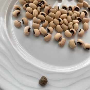 Yayla Gıda Börülce Ürününün İçinden Taş Çıktı