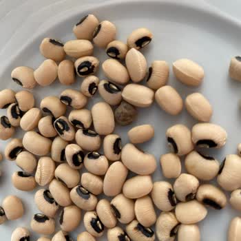 Yayla Gıda Börülce Ürününün İçinden Taş Çıktı