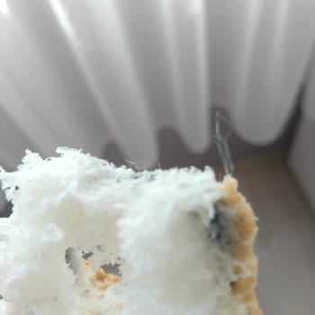 Ekmekte Fare Kuyruğu Tespiti Hijyen İhlali Ve Güven Sarsıntısı