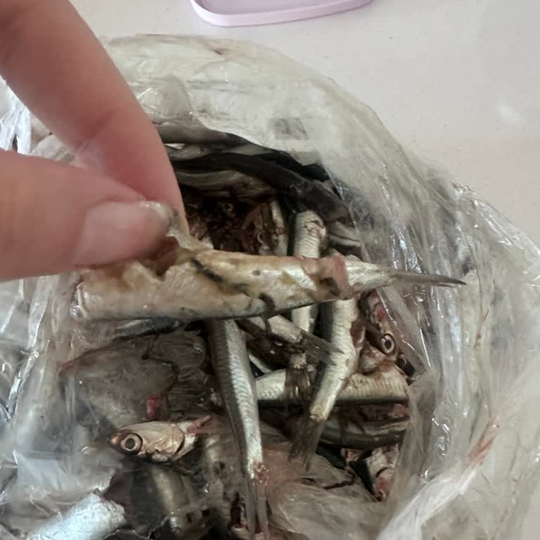 Migros'ta Bozulmuş Hamsi Satışı Aile Sağlığını Tehdit Ediyor