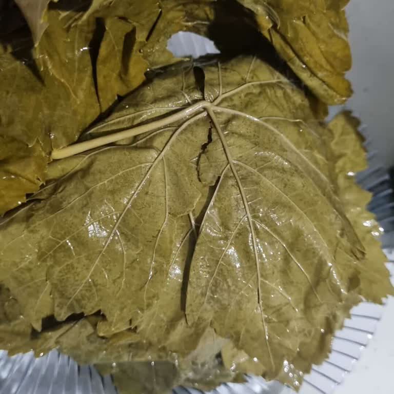 Bozuk Salamura Yaprak Gönderildiği İçin İade Talebi