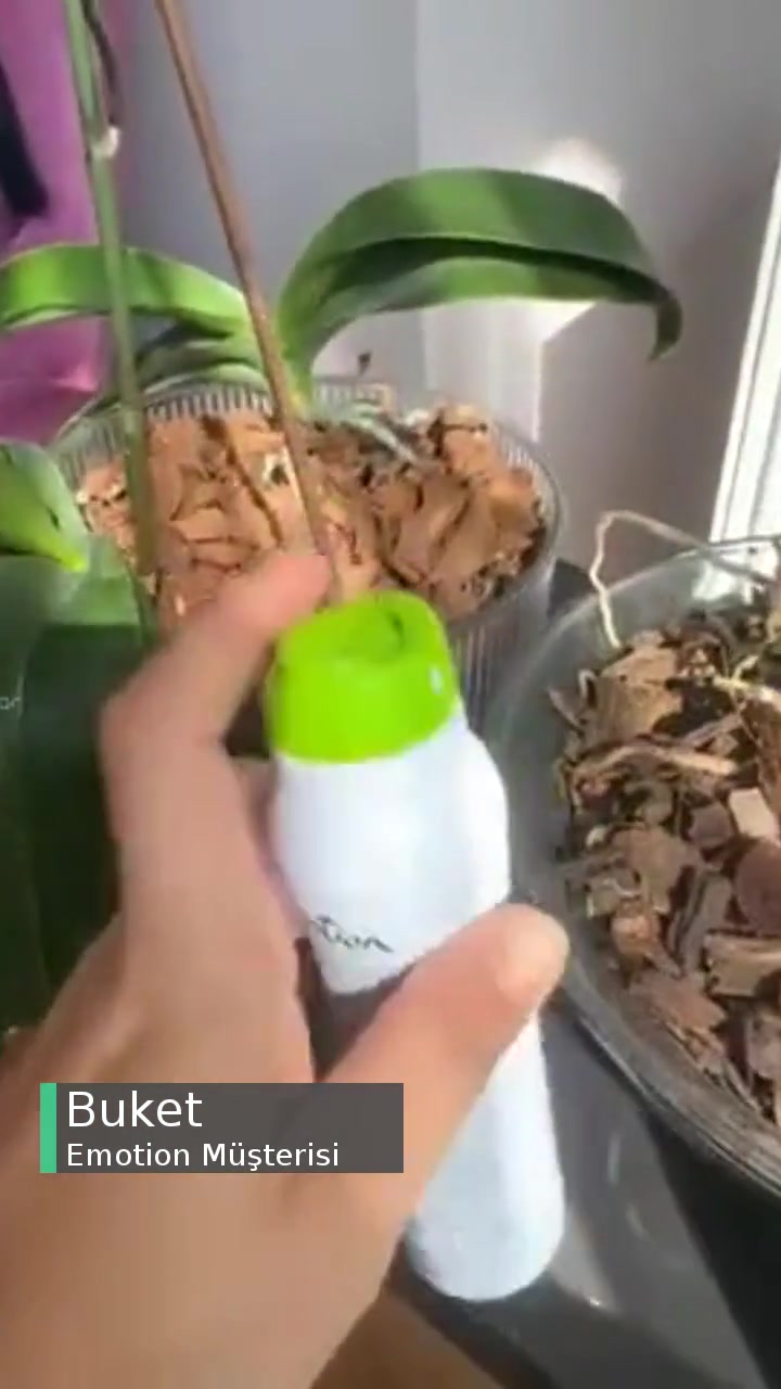 Emotion Aldığım Deodorantlar Çöpe Gidiyor Param Da Çöpe Gidiyor! videonun kapak resmi