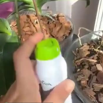 Emotion Aldığım Deodorantlar Çöpe Gidiyor Param Da Çöpe Gidiyor!