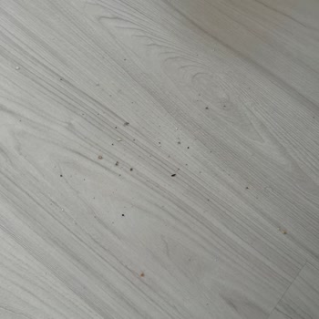 Philips 6000 Dik Süpürge Kapandığında Toz Dökülmesi Ve Müşteri Hizmetleri İletişimsizliği