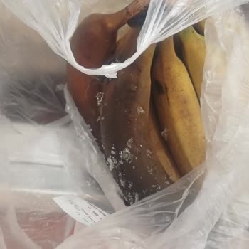 Bosch Buzdolabının Üst Bölümü Donuyor, Servis Çözüm Bulamıyor, Gıda Zararı Yaşıyorum