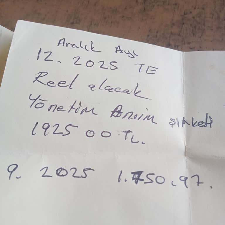 Ödenen Turkcell Borcunun E-devlet'te Hâlâ Görünmesi Ve Gri Listeden Çıkarılamaması