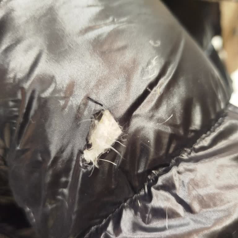 İlk Kullanımda Yırtılan 7 Bin TL'lik Montta Tamir Seçeneği Sunulmaması