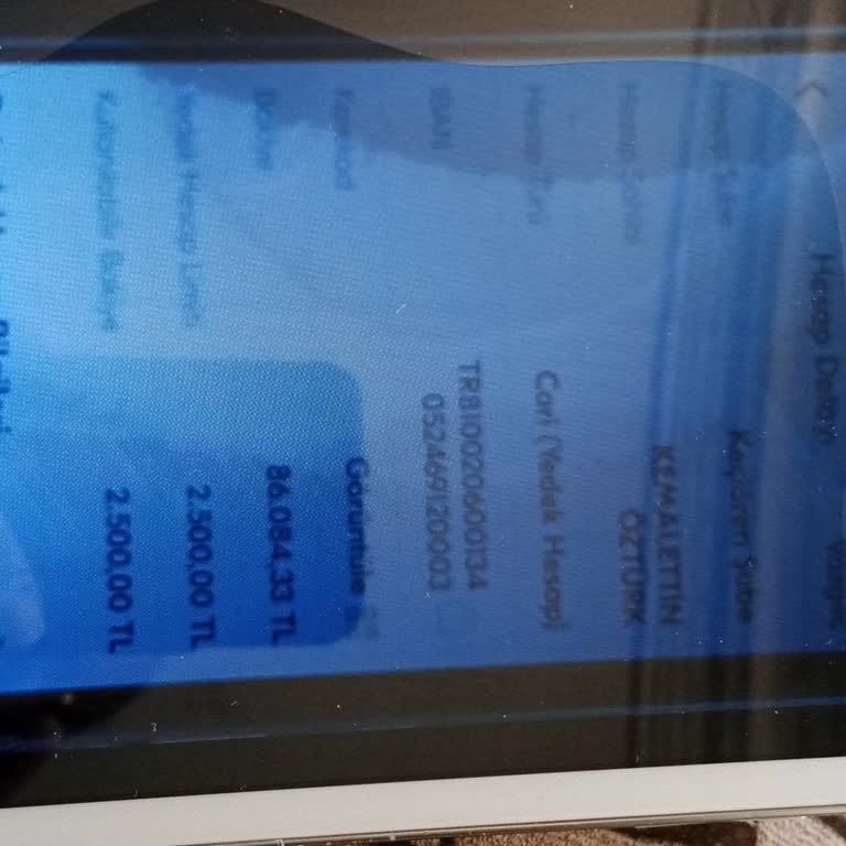 Açıklama Sunulmadan Hesabım Bloke Edildi, 86.084,33 TL Tasarruf Hakkım Kilitlendi