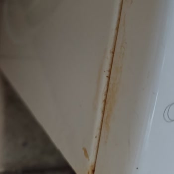 Garanti Süresinde Küflenme Sorunu Ve Ürün Değişimi İsteği