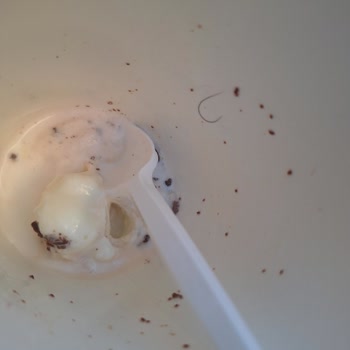 Mc Donald’s Şubesinde Yiyecek İçinde Kıl Çıktı Fiş Verilmedi İade Talebi