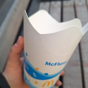 Mc Donald’s Şubesinde Yiyecek İçinde Kıl Çıktı Fiş Verilmedi İade Talebi