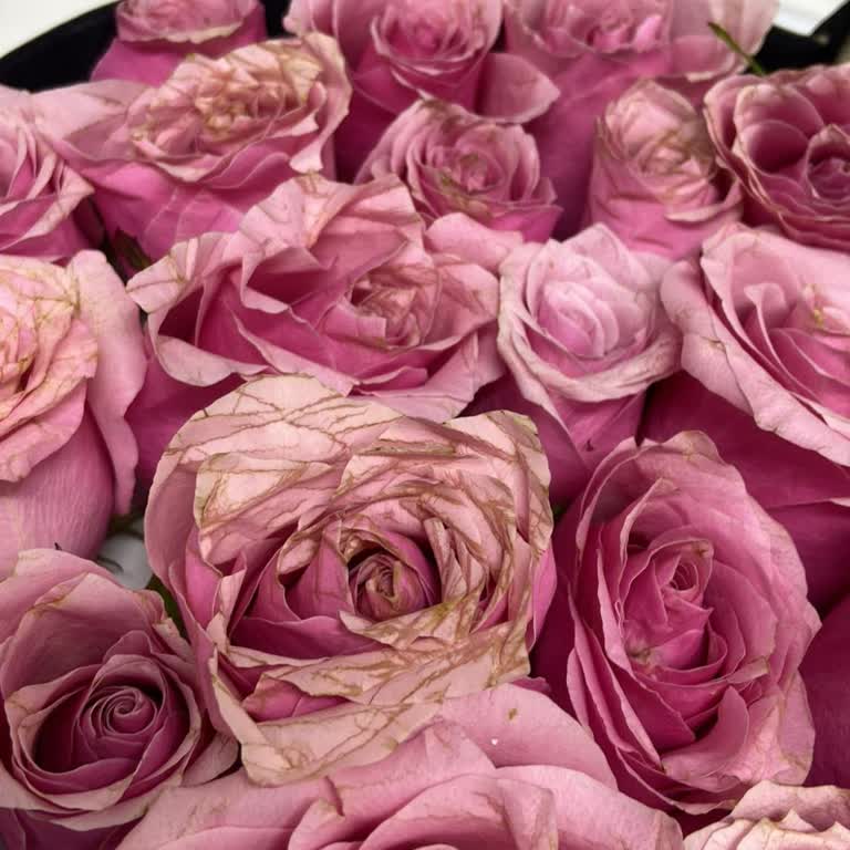 Solmuş Çiçekler İçin Ücret İadesi Ve Telafi Talebi