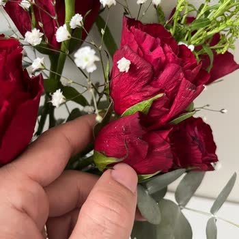 Güller Solmuş Ve Çürük, 1100 TL İade Talebi