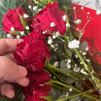 Güller Solmuş Ve Çürük, 1100 TL İade Talebi