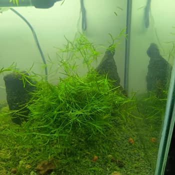 Yanıltıcı Ürün Açıklamaları Ve Cevapsız Müşteri Hizmeti