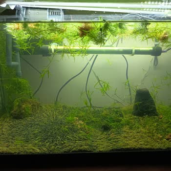 Yanıltıcı Ürün Açıklamaları Ve Cevapsız Müşteri Hizmeti