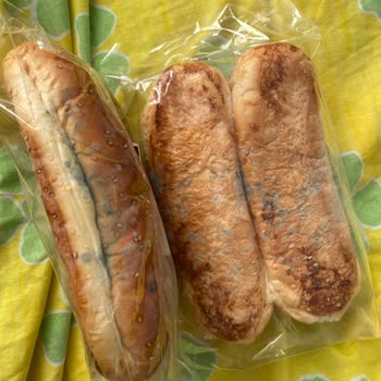 Migros'tan Küflü Ekmek Teslimatı Ve İade İhmali