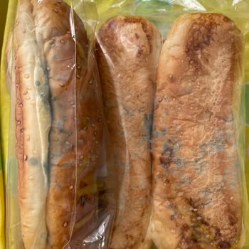 Migros'tan Küflü Ekmek Teslimatı Ve İade İhmali