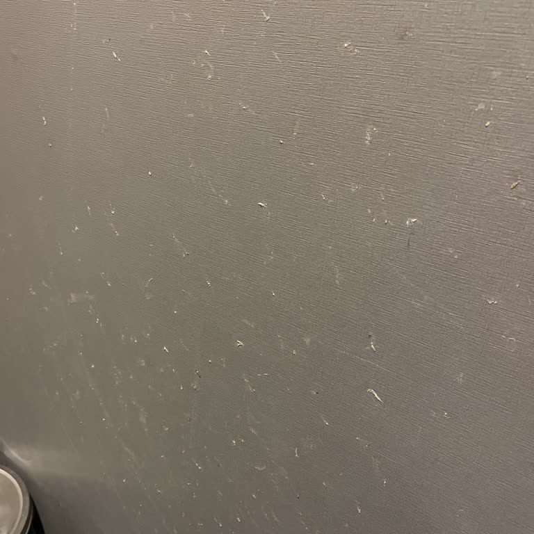 Gloria Jeans Maltepe Şubesinin Kadın Tuvaleti Hijyen Sorunu