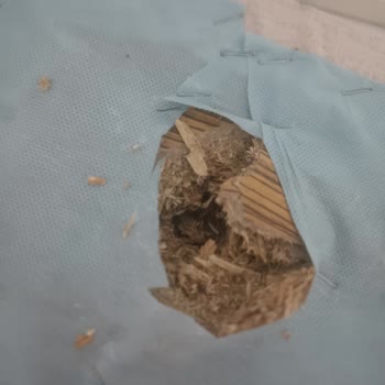 Garanti Sözüne Rağmen Puf Bench Çocuk Oturduğunda Kırıldı Şirket Çözüm Sunmuyor