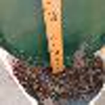 Sipariş Edilen 40 Cm Yaban Mersini Fidanı Yerine 10 Cm Gelen Fidan İçin Çözüm Bulunamadı