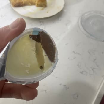 Eksik Çikolata İçeren Sürpriz Yumurtaya Değişim Talebi