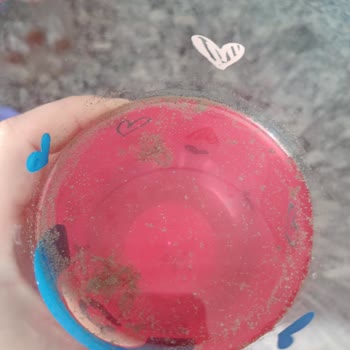 Meyve Suyunda Küf Yumağı Sağlık Endişesi Ve Güven Kaybı