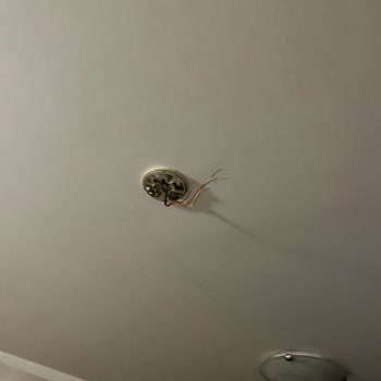 Booking.com İzinsiz Çekim ve Tehdit Karşısında Otel Şikayeti