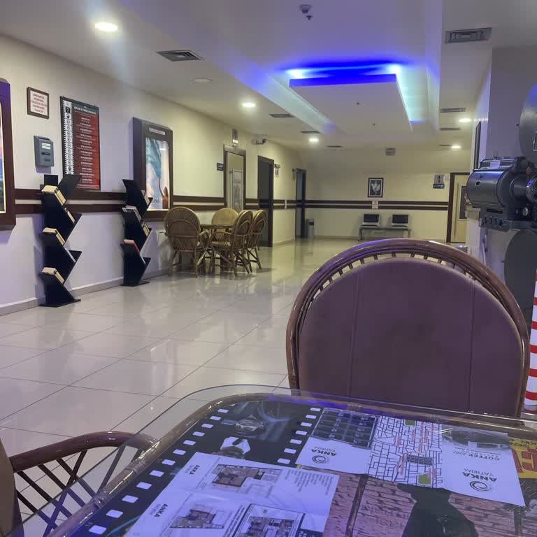 Barutçuoğlu Sinema Salonu Tek Kişi Olduğum İçin Seans Açılmadı Ve Film İzleyemedim