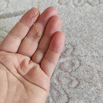 Halılar İki Kez Yıkanmadı, İçinde Kıllar Ve Lekeler Kaldı