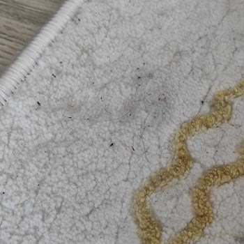 Halılar İki Kez Yıkanmadı, İçinde Kıllar Ve Lekeler Kaldı