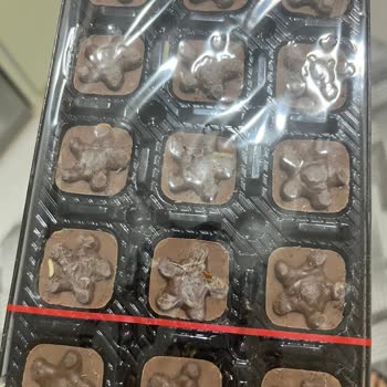 Şölen Çikolatası Ambalajında Kurtçuk Tespiti