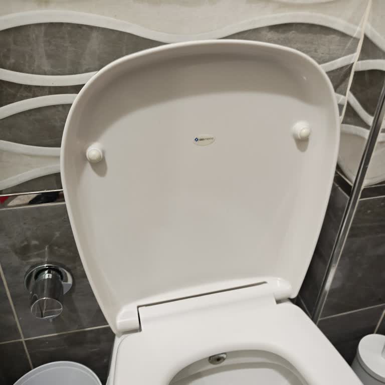 Sura Model Klozet Kapak Parçası Bulunamıyor Ve Aşırı Fiyatlandırılıyor