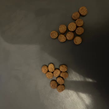 Petmerkezi.com'dan Alınan Sahte Royal Canin Sterilised Mama Satışı Durdurulsun