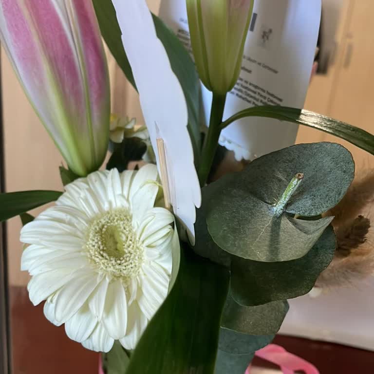 Yanlış Çiçek Ve Kart Notu, Tam İade Talebi