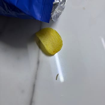 Patito Patates Cipsinde Canlı Kurt: Sağlık Ve Hijyen Endişesi