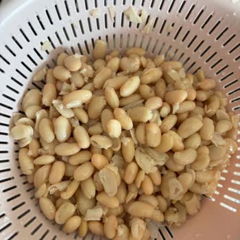 Kuru Fasulyedeki Bozukluk Ve Cevapsız Şikayet