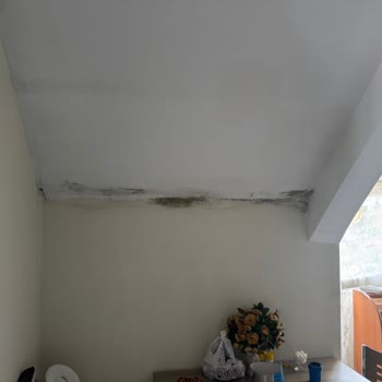 Ordu Furkan İnşaat Ve Mimarlık Çatıdan Su Damlıyor!