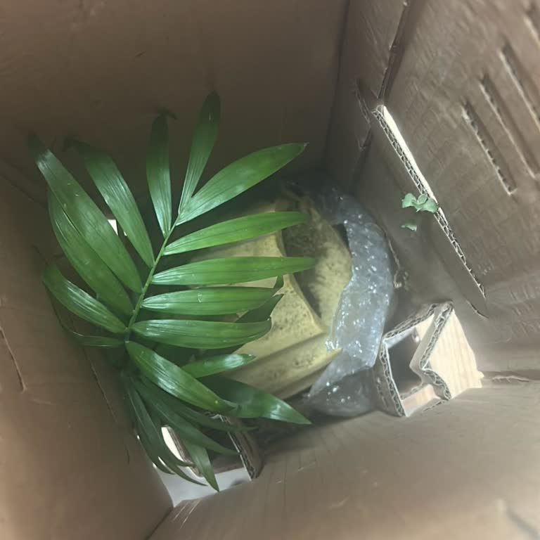 Hasarlı Çiçek Teslimatı Ve Telafi Siparişinin Gecikmesi