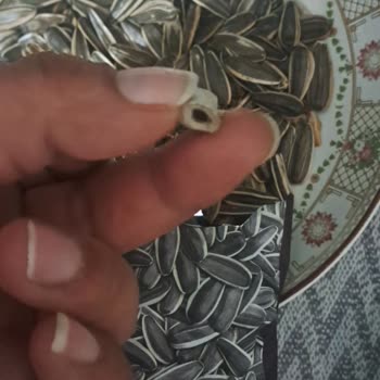 Çekirdekte Sigara İzmariti: Hijyen İhlali