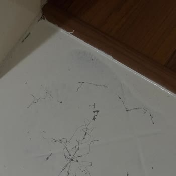 Dios Sıvı Mermer Özensiz İş Yaptı!