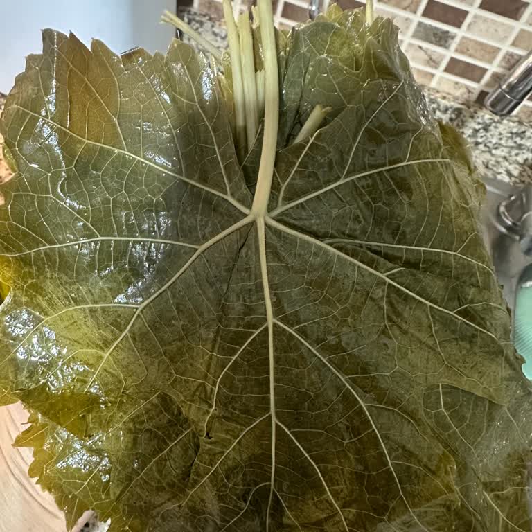 Yanıltıcı Ürün Tanıtımı Ve Cevapsız İade Talebi