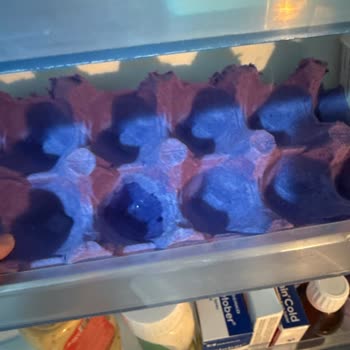 Profilo Buzdolabındaki Sürekli Su Sızıntısı Ve Çözülmeyen Soğutma Sorunu İçin 4500 TL İadesi Talebi