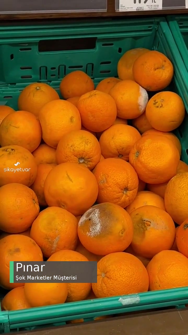 Şok Marketler Meyve Reyonunun Hali! videonun kapak resmi