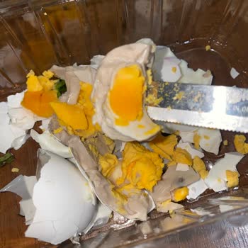 Yumurtanın İçinde Yabancı Cisim Bulunması Ve Hijyen Endişesi