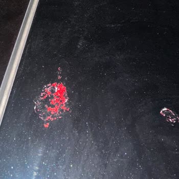 Opel Bayisinde 70 Bin TL Ödeme Gecikmesi Ve İletişim Sorunu